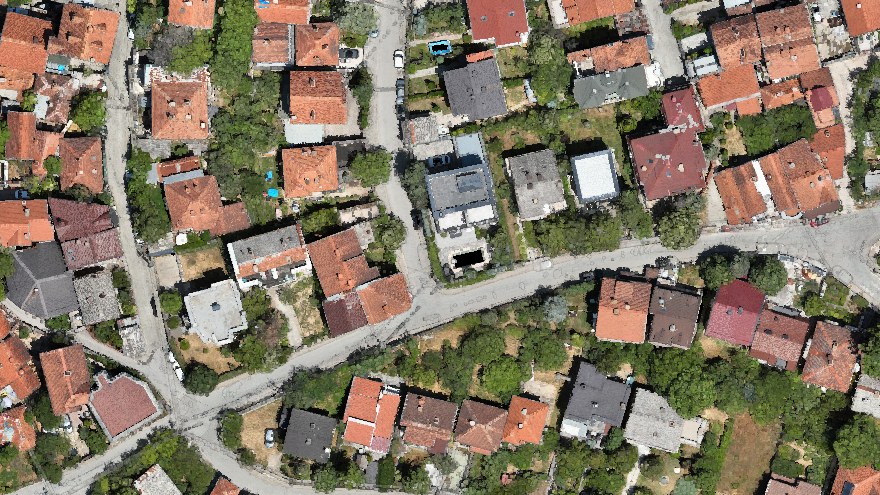 A district seen by the left eye
